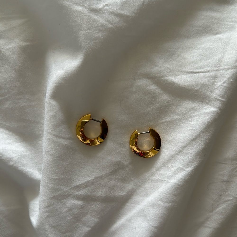 Jenny bird toni hinged hoop earrings small